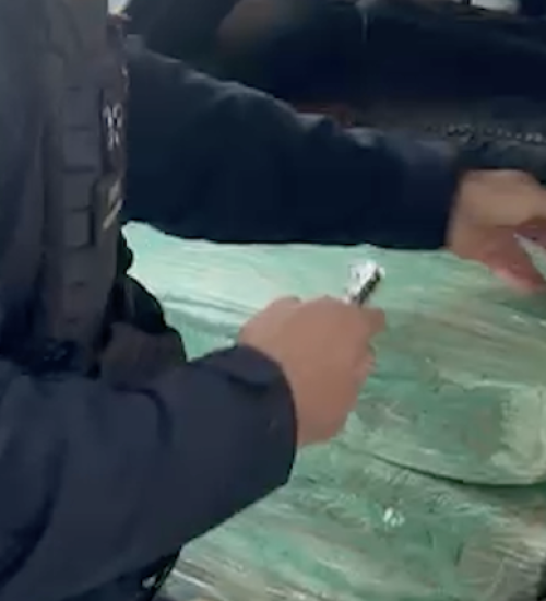 Laranjeiras - PRF apreende mais de 150 kg de maconha, fuzil e munições