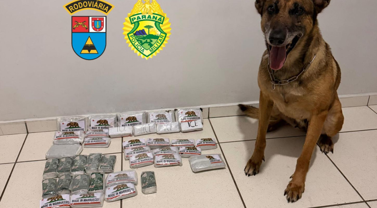 TRÊS ENVOLVIDOS SÃO DETIDOS COM MAIS DE 5KG DE HAXIXE EM MARIÓPOLIS